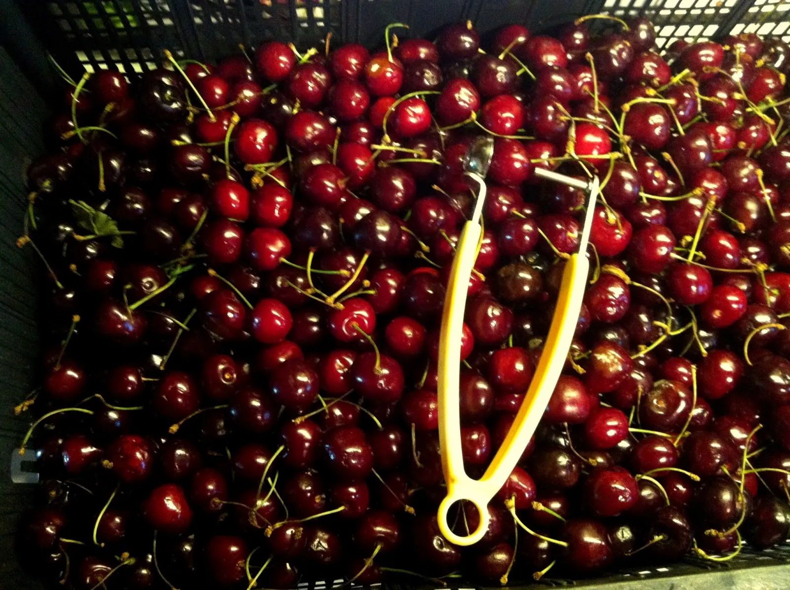 Domača češnjeva marmelada z orehi